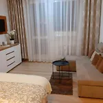 Hanka Apartment *