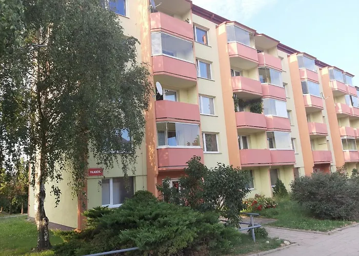 Hanka 兹诺伊莫