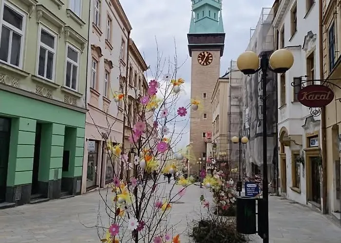 Hanka 兹诺伊莫